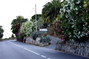 Agriturismo Un Mare di Fiori